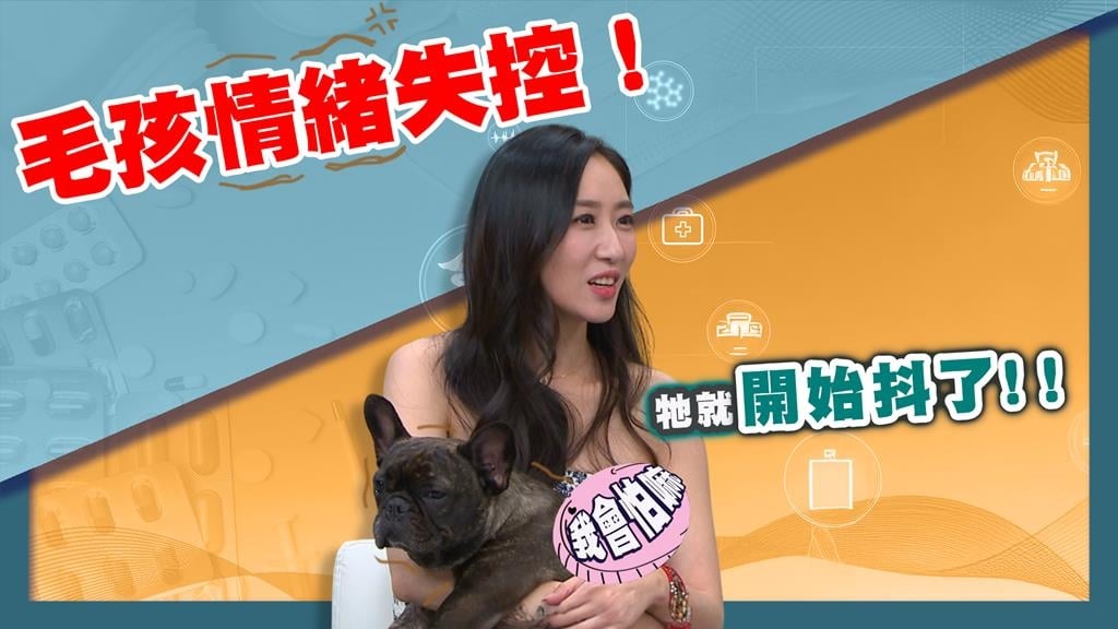 蔡允潔《醫學大聯盟》揭毛小孩異常行為！獸醫：分離焦慮因「這事」！