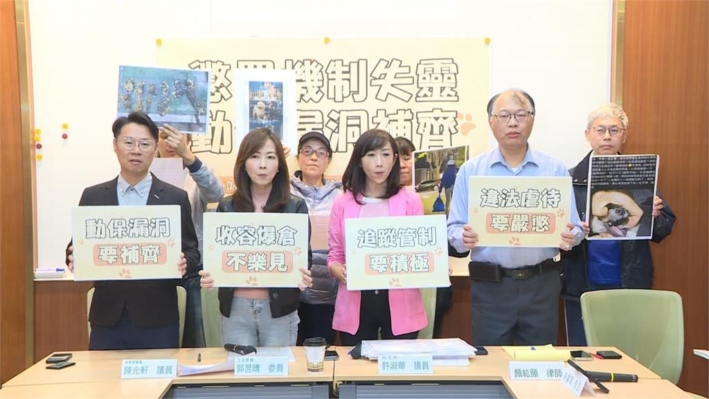 寵物電動車上路遭開罰! 立委籲交通部訂明確規範