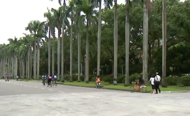 大學「讀什麼科系」畢業後才快樂?網友:找到「這個」是人生正解!