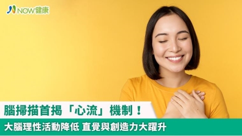 腦掃描首揭「心流」機制！大腦理性活動降低 直覺與創造力大躍升