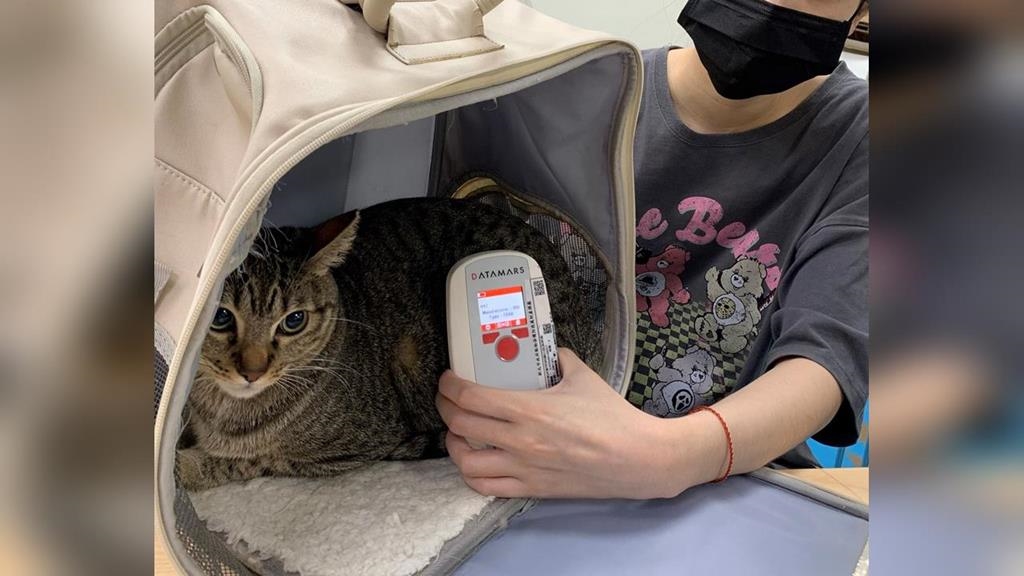 貓狗主人快看！明年起強制要求寵物登記、植入晶片　罰款金額曝光