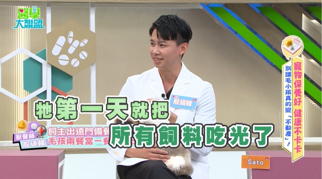 獸醫《醫學大聯盟》揭橘貓「九隻九隻胖」特性!出門「這招」穩定飲食