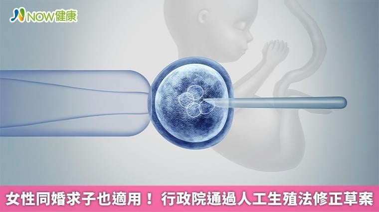 女性同婚求子也適用！ 行政院通過人工生殖法修正草案