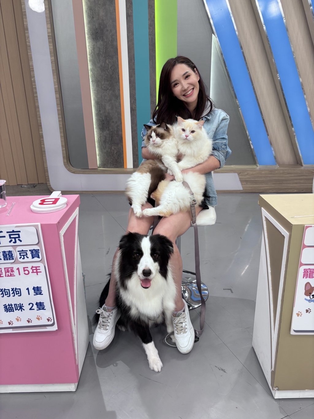 (影)／徐千京狗狗玩陰的 讓主人面子盡失 還被捅一刀？