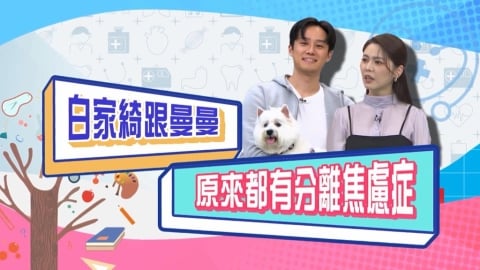 (影)／黃豪平新註解 肚子餓了是對食物的「分離焦慮」？