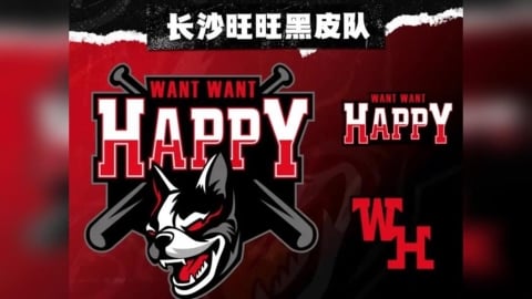 棒球/開賽前夕卻突然少一隊?「長沙旺旺黑皮」宣布暫緩參加中國城市棒球聯賽