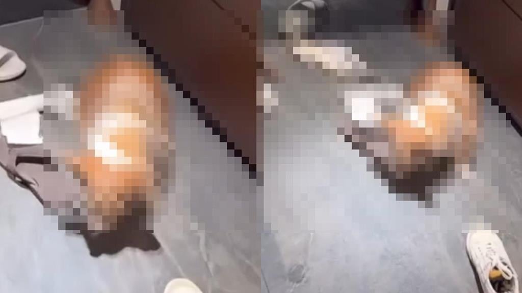 新／手搖店老闆「虐打年邁柯基」怒喊去S！犬隻下落曝光、動保處出手飼主GG了