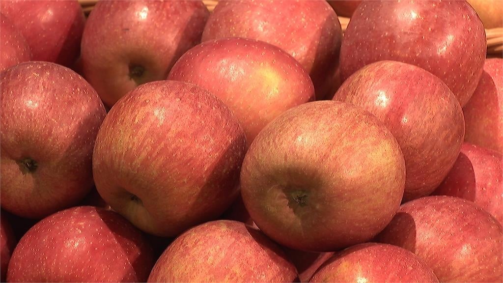 台灣占青森蘋果出口7成 青森縣代表連續3年來台