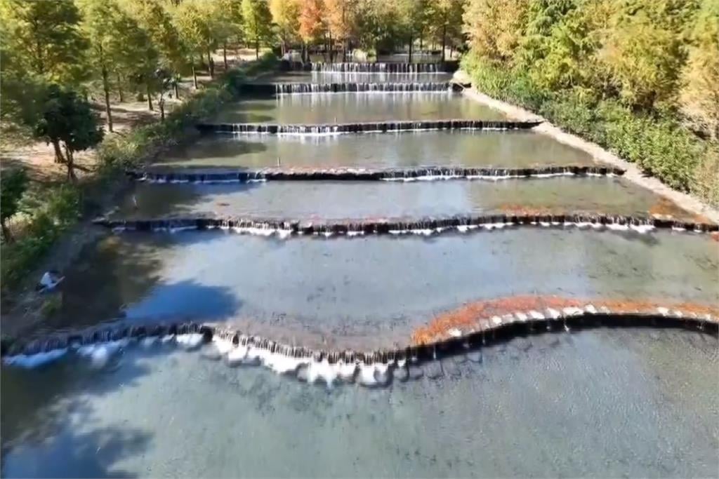 宜蘭夢幻仙境「三層坪」封閉3年終開放 民眾瘋狂搶預約全額滿