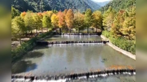 宜蘭夢幻仙境「三層坪」封閉3年終開放 民眾瘋狂搶預約全額滿