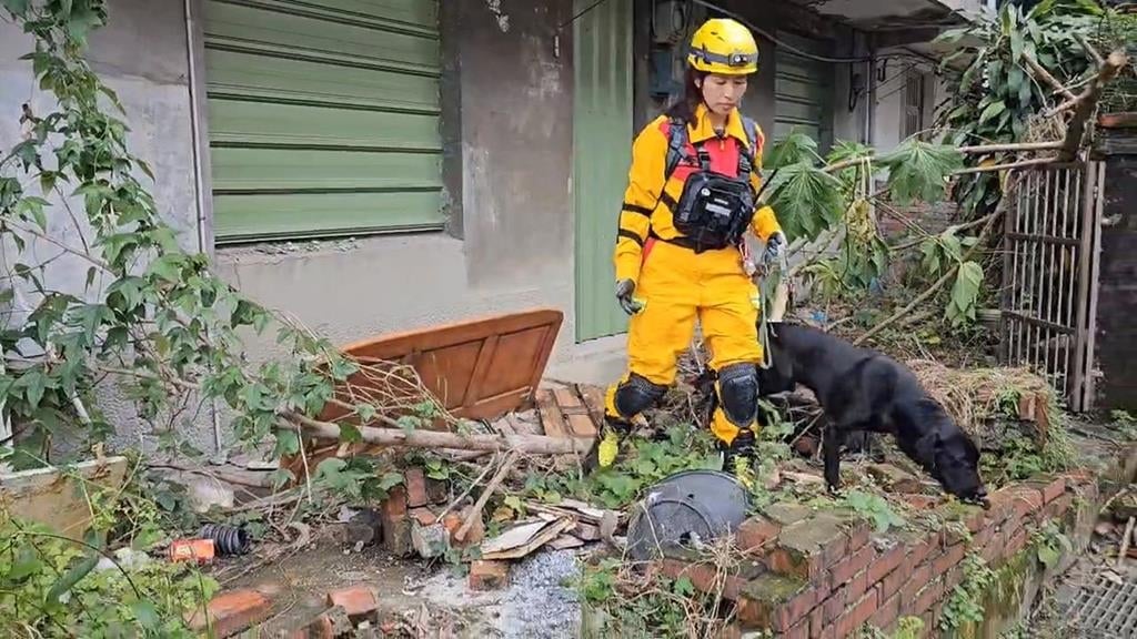 「嗅出生命」！　基隆特搜隊2搜救犬通過國際認證