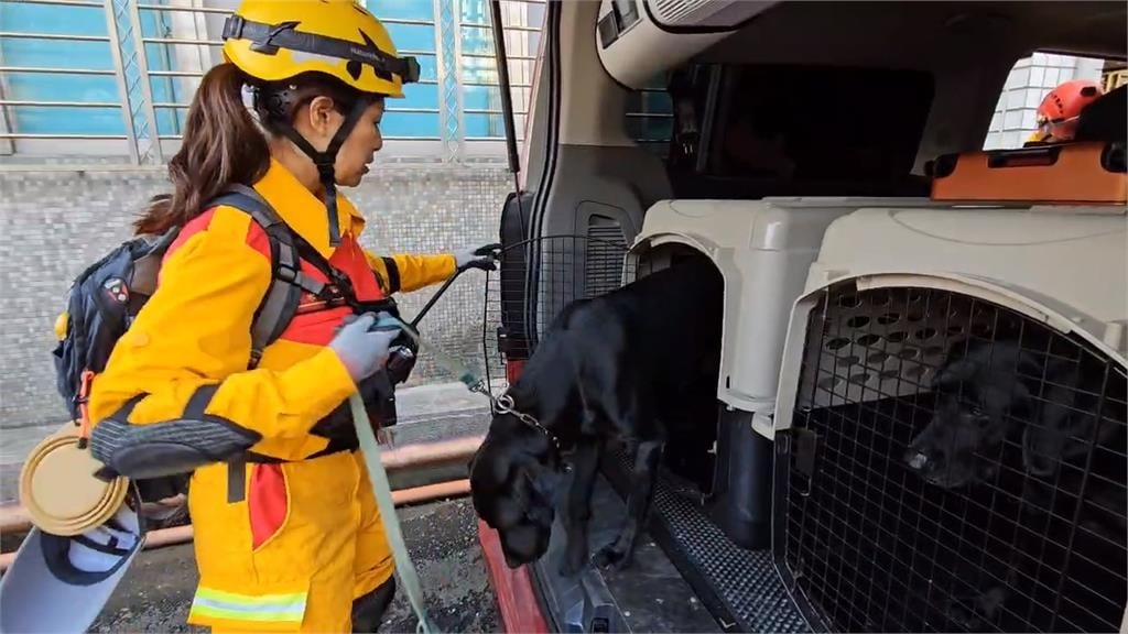 「嗅出生命」! 基隆特搜隊2搜救犬通過國際認證