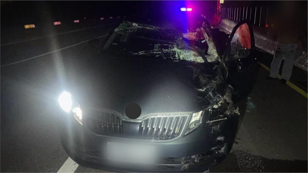 台61驚現「2馬狂飆」1匹遭撞飛倒地亡 競速畫面曝光網歪樓:已超速!