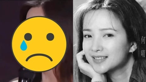 古典美人何晴享壽61歲!昔患「腦瘤」淡出演藝圈…最後一次公開現身畫面曝光