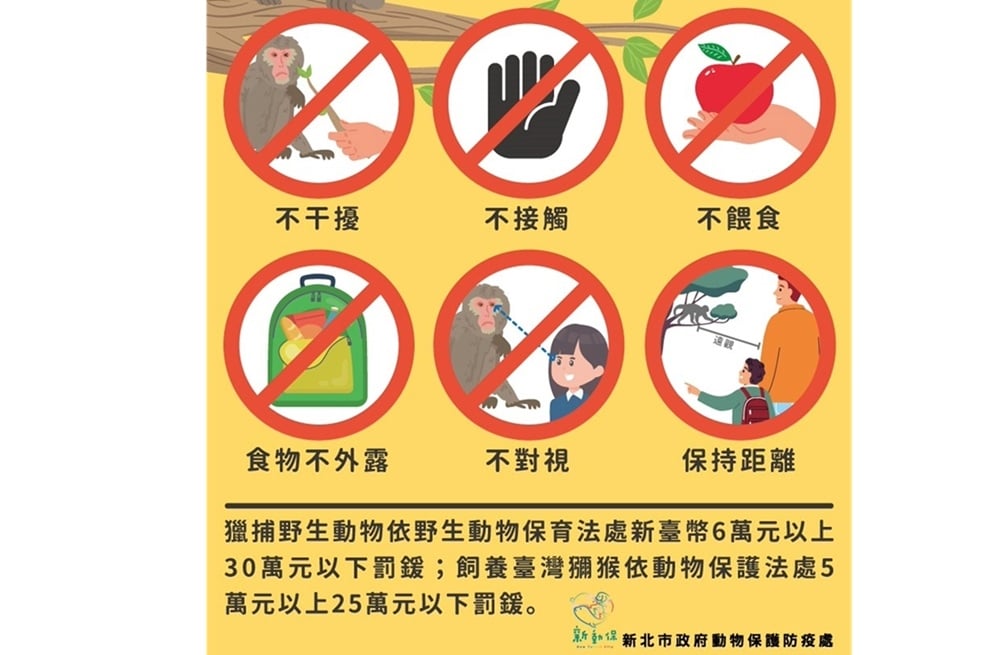 世界猴子日 新北動保處籲落實4不1保5大原則 4 cnews204251214a02