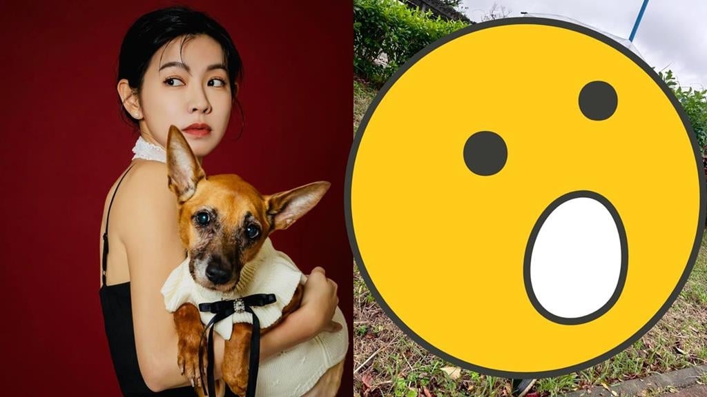 《好運來》米可白才開戰鍾東錦！「倒路邊身影突流出」網急關切內情曝光