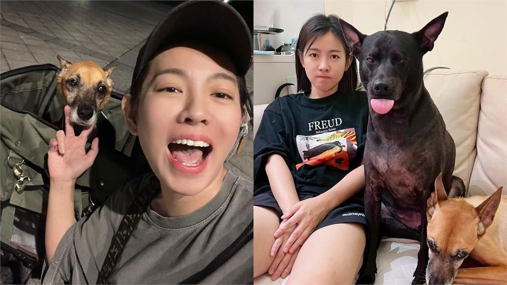 《好運來》米可白才開戰鍾東錦！「倒路邊身影突流出」網急關切內情曝光