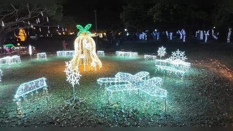 2025沙鹿嘉年華點燈 打造海線最美冬日慶典