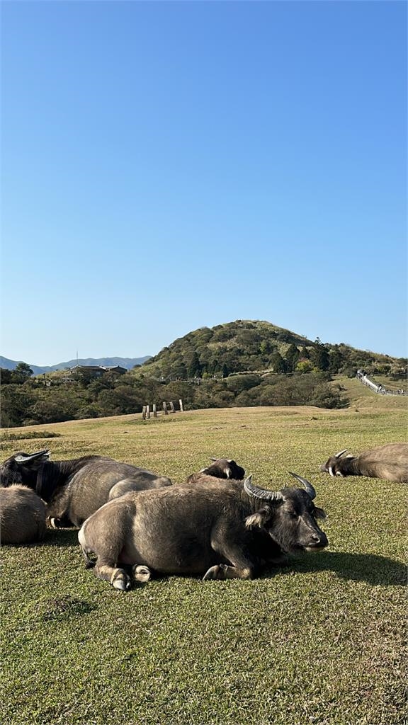早餐暗藏致癌危機？日名醫點名「3類食物」恐提高4種癌症風險！