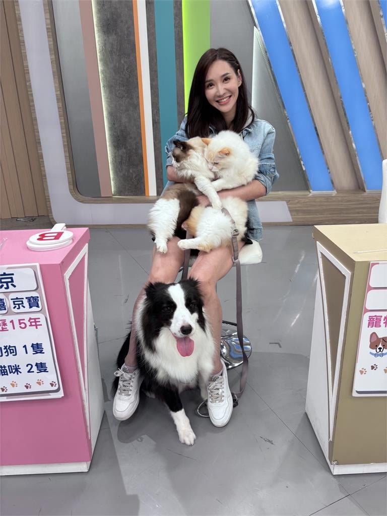 徐新洋愛犬出事半夜急奔醫院！緊急住院四天噴了三萬