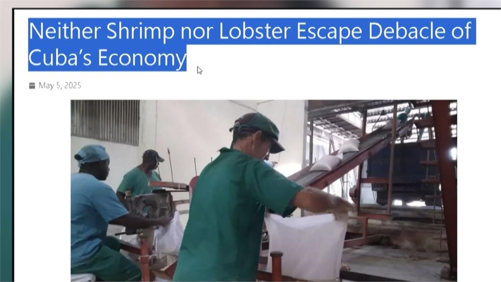 對我不友善!台拒買古巴龍蝦 矢板明夫喊把首爾改「漢城」