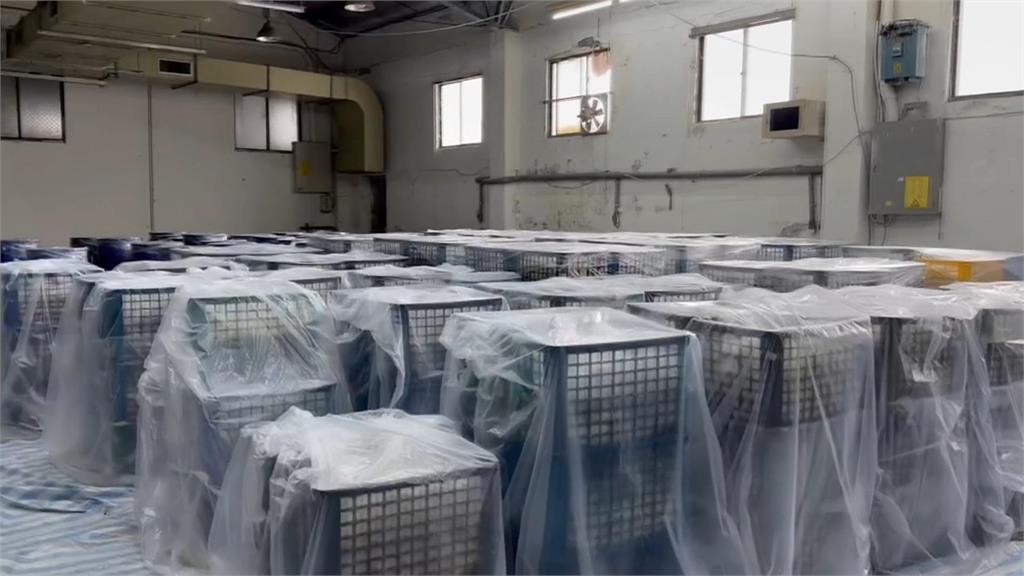 衛環委員會討論豬瘟爆口角 一句「台中市長要負責」惹惱楊瓊瓔