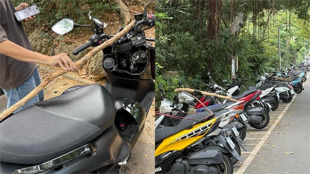 壽山動物園驚見「一排機車上卡樹枝」！她曬2張圖釣解答：防大師兄亂搞