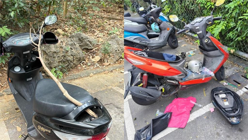 壽山動物園驚見「一排機車上卡樹枝」！她曬2張圖釣解答：防大師兄亂搞