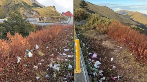 合歡山武嶺「一整片垃圾」國人素質遭質疑!太管處不忍了:丟1次罰6萬