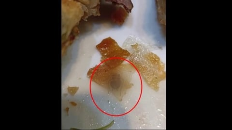 噁！台中連鎖水餃店「捲餅包小強」　　民眾嚇壞：差點反胃吐出來