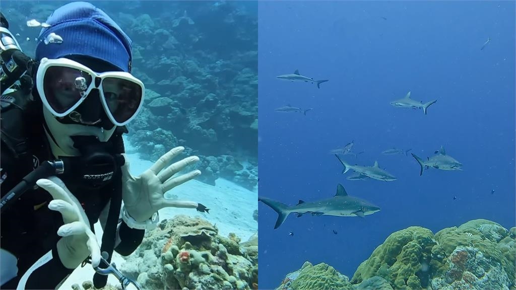 潘慧如超辣比基尼秀凍齡身材!帛琉潛水遇「10鯊共舞」驚人費用曝