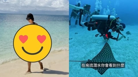 潘慧如超辣比基尼秀凍齡身材!帛琉潛水遇「10鯊共舞」驚人費用曝