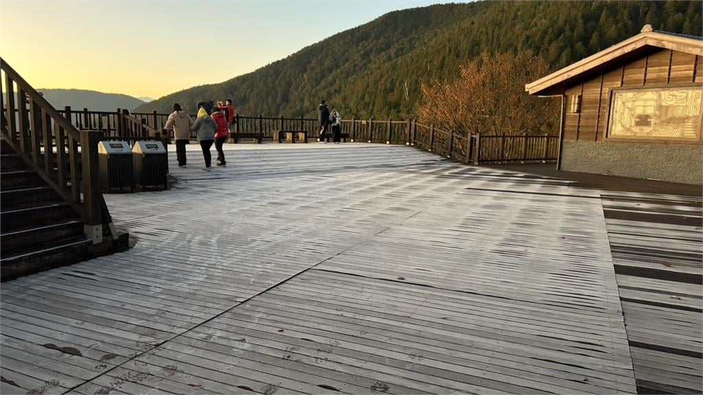 快新聞/一夜白頭!太平山未降雪「低溫結滿冰霜」 美景曝光了