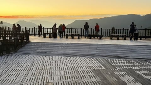 一夜白頭!太平山未降雪「低溫結滿冰霜」 美景曝光了