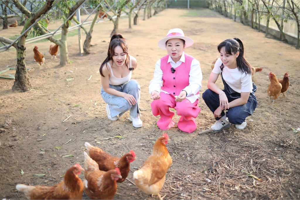 《超級冰冰Show》衝出高收視！白冰冰帶子弟兵「酒店泡湯」 見一幕少女心爆發