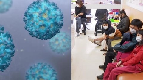 酒精也殺不死！這病毒冬季回來了「一人中招、整群淪陷」症狀、防範一次看