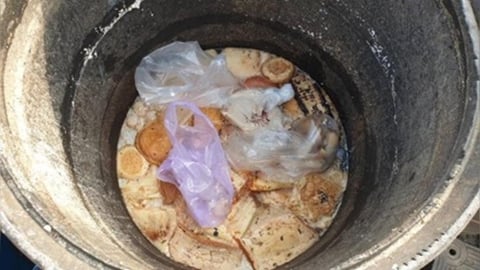 台中龍井養豬場疑用廚餘餵豬　　最高恐挨罰４００萬元、飼主喊冤