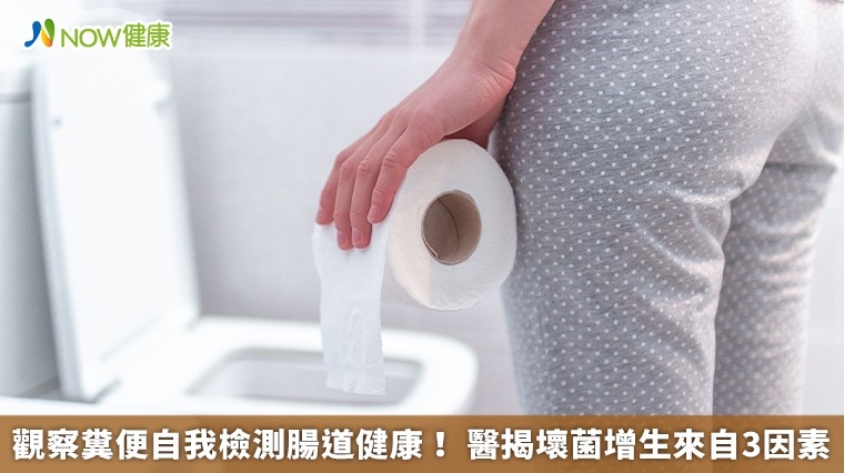 觀察糞便自我檢測腸道健康！ 醫揭壞菌增生來自3因素