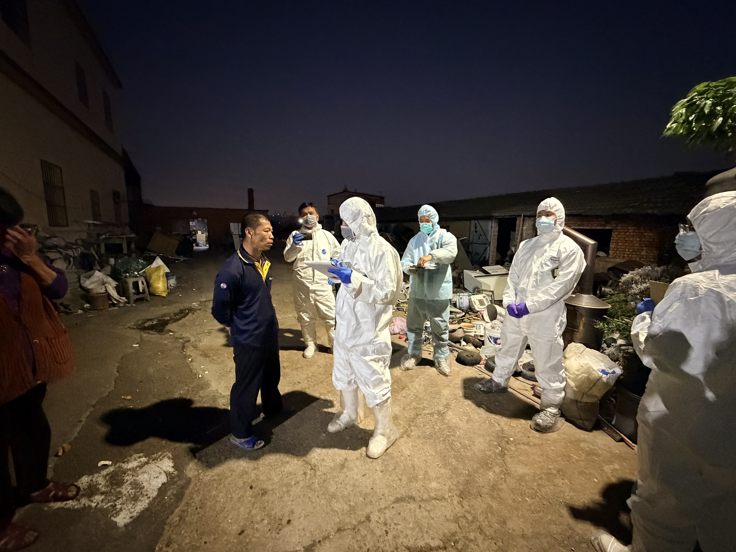 防非洲豬瘟！龍井養豬場違法廚餘養豬最高罰400萬