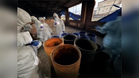 防非洲豬瘟！龍井養豬場違法廚餘養豬最高罰400萬