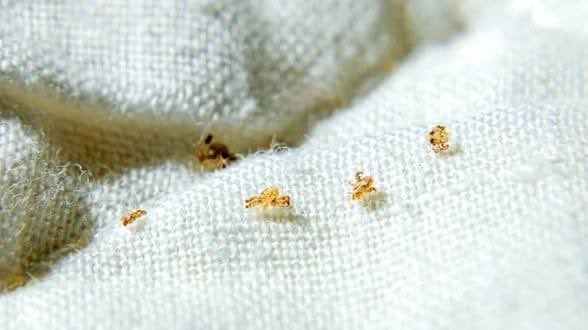 阿北下面奇癢「找妹妹被勸看醫生」！褲子一脫⋯醫看呆：滿布白透蟲卵