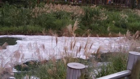 基隆河油污事件不到一個月 「暖暖溪」爆冒白色泡沫