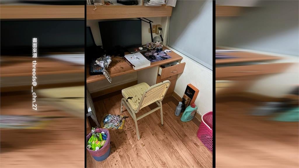 中山大學宿舍被獼猴洗劫! 「大學長」坐書桌忘情吃零食