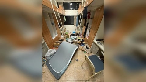 中山大學宿舍被獼猴洗劫! 「大學長」坐書桌忘情吃零食