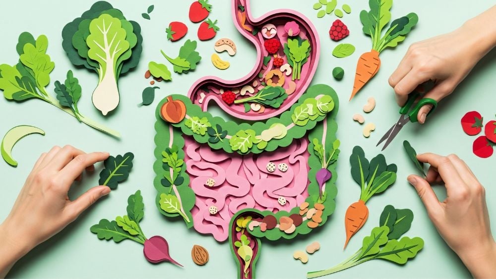 聽說「延緩老化」的關鍵藏在腸道？科學研究解析菌相與老化的關聯