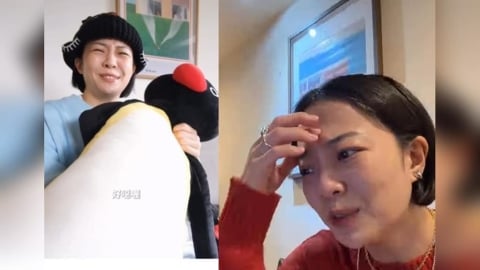 網紅Meg嫌棄「Pingu企鵝家族」稱黑色幽默　網批不尊重急發聲明道歉