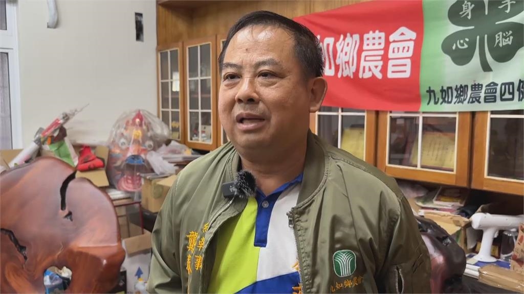 屏東九如農會引進「椰柿」　5年首次收成　一顆要價500元