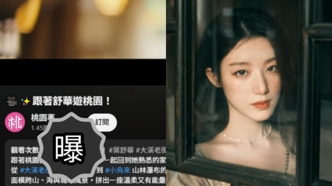 桃園找舒華拍觀光宣傳片卻冷清？「5小時僅24次觀看」網揭1關鍵原因