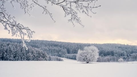 冬至一連15天　命理師揭「5大翻盤轉運生肖」