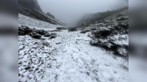 下雪了！雪山圈谷成銀白世界　玉山清晨積雪2.5公分